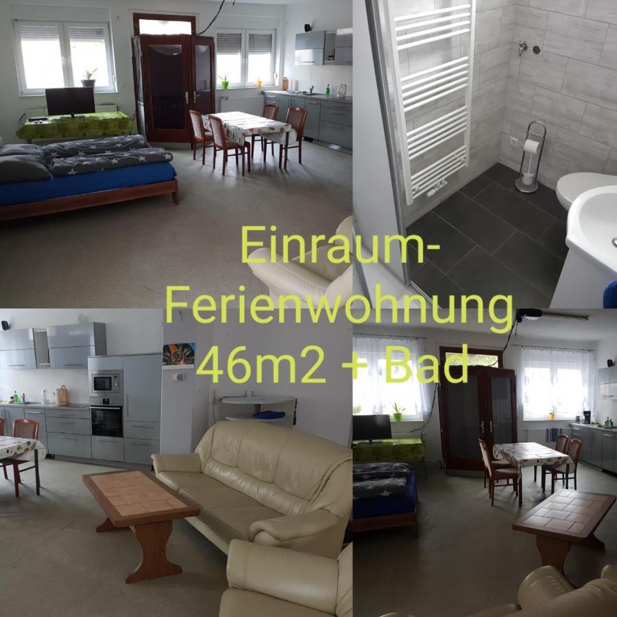 Einraum-Ferienwohnung 46M2 Eisenhuettenstadt-Diehlo Luaran gambar